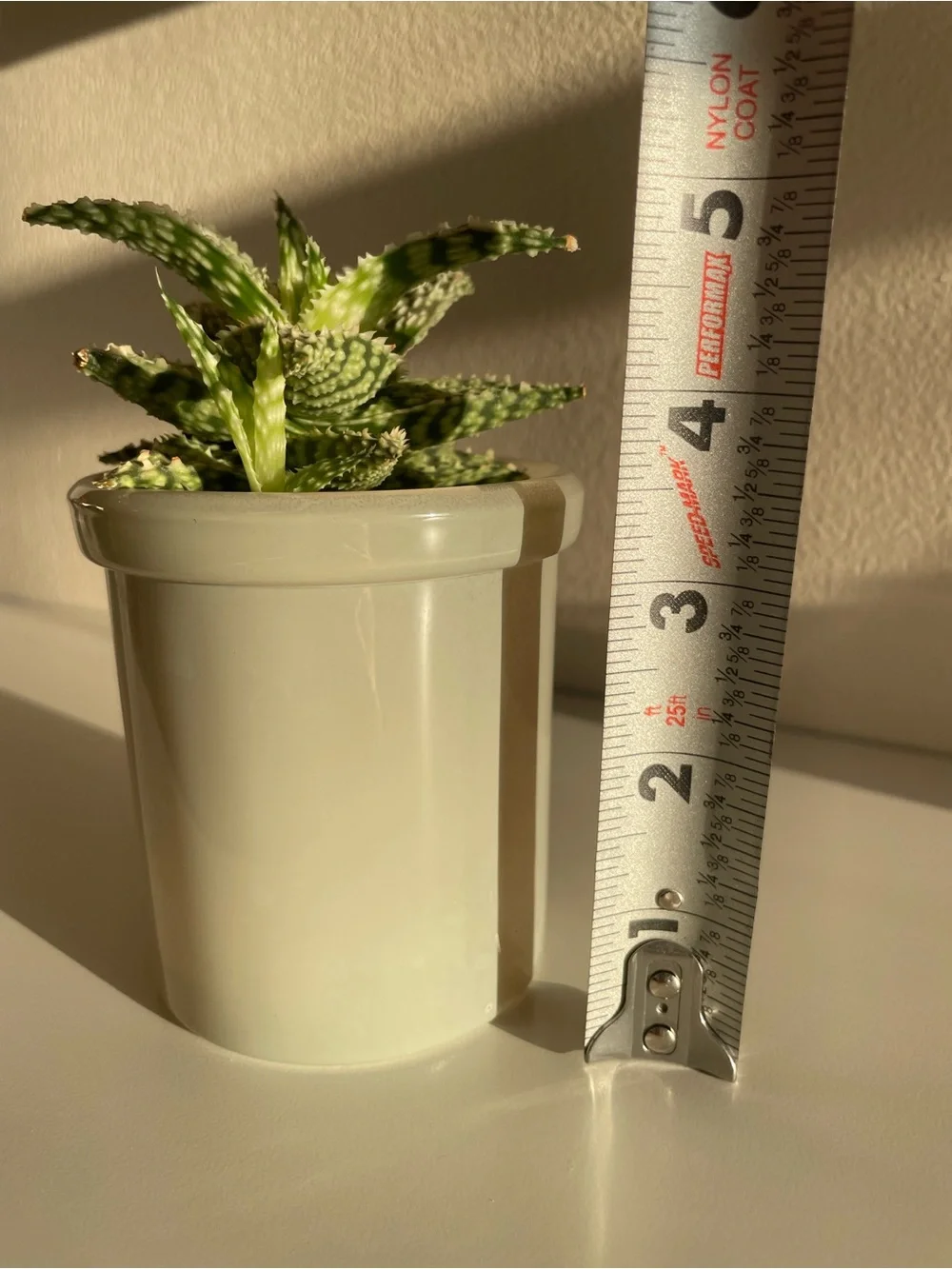 Sage Green Jar